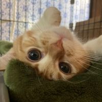 ゆづはる 会員画像