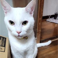 ちるもーさん