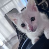 momoumi 会員画像