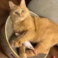 おこなさん