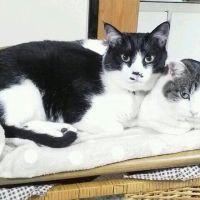 かめぽん 会員画像