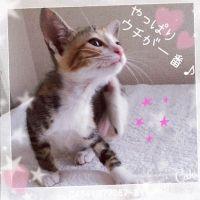 会員画像