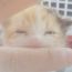 ユーザ画像