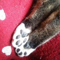 サリノ 会員画像