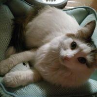 あぬた 会員画像