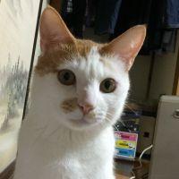 ルフ太郎 会員画像