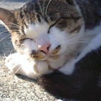 会員画像
