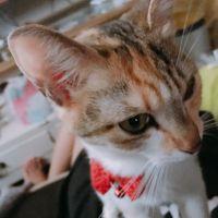 会員画像
