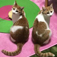 会員画像