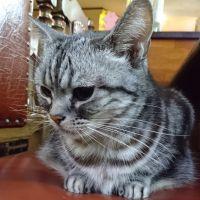 のすけ0222 会員画像