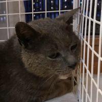 グレンmama 会員画像