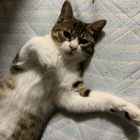 めろすけ 会員画像