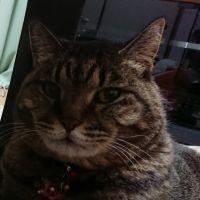 ぬくぬく。さん