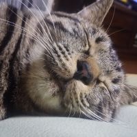 会員画像