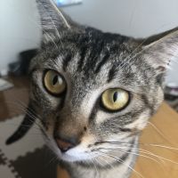 いなとも 会員画像