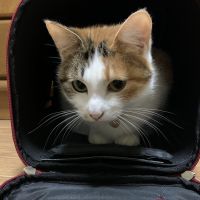 会員画像