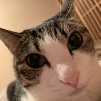 ミー胡 会員画像