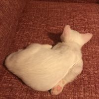 会員画像