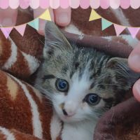 りん1026 会員画像