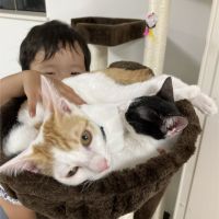 3姉妹弟の母ちゃん 会員画像