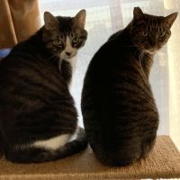 まさとこ 会員画像