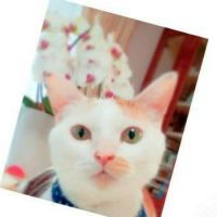 会員画像