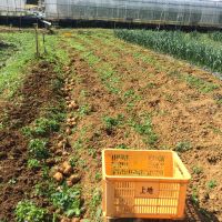 のりぴー02 会員画像