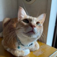 イデー 会員画像