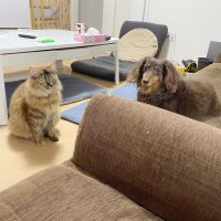 なかみさ 会員画像