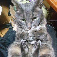 ふりーまそ 会員画像