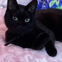 manu3009 会員画像