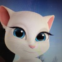 ぱっちびさん