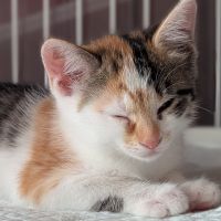 のたろーさん