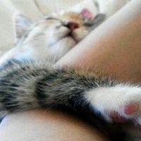 rubbish 会員画像