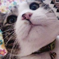 natarieさん