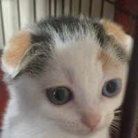 ジョニー・ライデン 会員画像