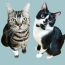 鈴猫ビビ