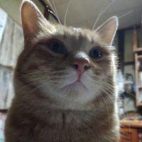 ゆなちゃんママ 会員画像