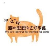 ルナトン 会員画像