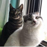 会員画像