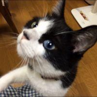 会員画像
