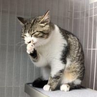 きなぼん 会員画像
