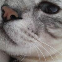 MJ LOVE 会員画像