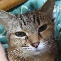 みにかよ 会員画像