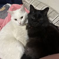 るん73 会員画像