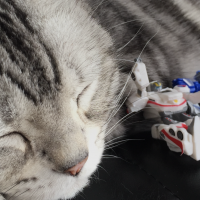 てつぺい 会員画像