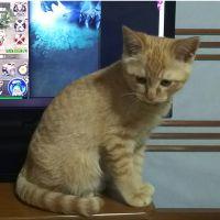会員画像