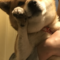 会員画像