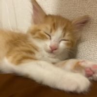 あり太 会員画像