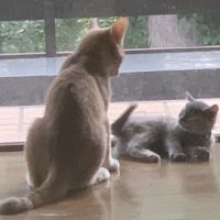 会員画像